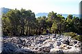P9024685.JPG