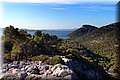 P9024686.JPG
