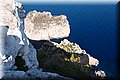 P9024700.JPG