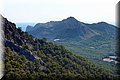 P9024717.JPG