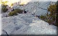 P9024720.JPG