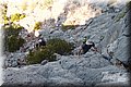 P9024721.JPG