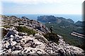 P9024739.JPG