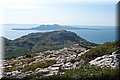 P9024754.JPG
