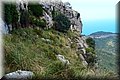 P9095045.JPG
