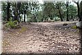 P9125110.JPG