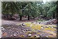 P9125114.JPG