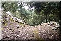 P9125120.JPG