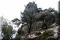 P9125128.JPG