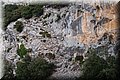 P9125147.JPG