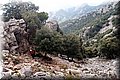 P9125151.JPG