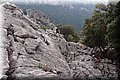 P9125160.JPG