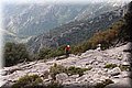 P9125163.JPG