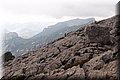 P9125172.JPG