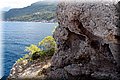 P9195256.JPG