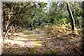 P9235284.JPG