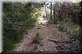 P9235287.JPG