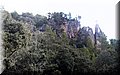 P9235292.JPG