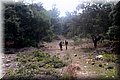 P9235293.JPG