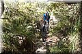 P9235320.JPG