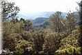 P9235321.JPG