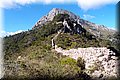 P9235326.JPG