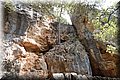 P9235336.JPG
