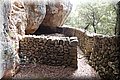 P9235337.JPG