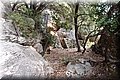 P9235364.JPG