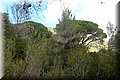 P9235370.JPG