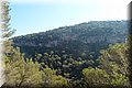 P9265382.JPG