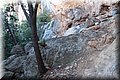 P9265410.JPG