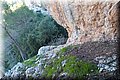 P9265416.JPG