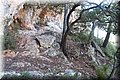 P9265417.JPG