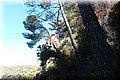P9265421.JPG