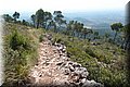 P9265429.JPG