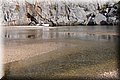 P9305458.JPG