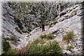 P9305480.JPG