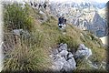P9305497.JPG