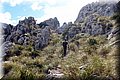 P9305510.JPG