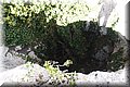 P9305515.JPG
