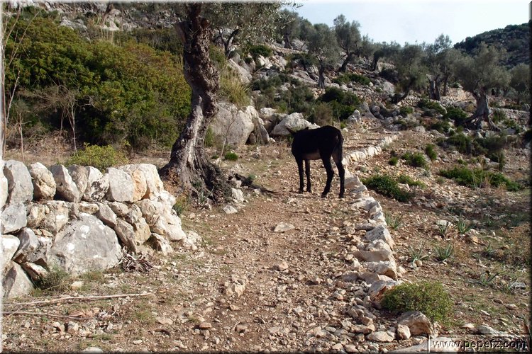 PA035538.JPG