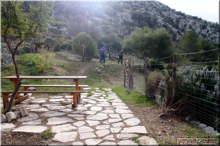 PA035540.JPG