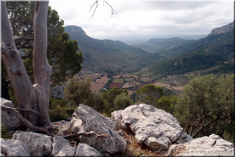 PA035548.JPG