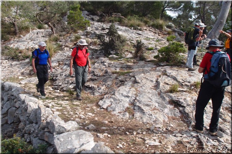 PA035549.JPG