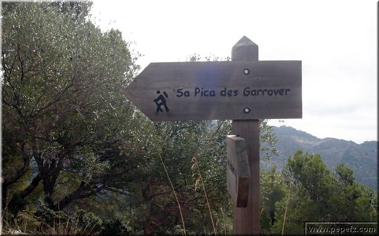PA035551.JPG