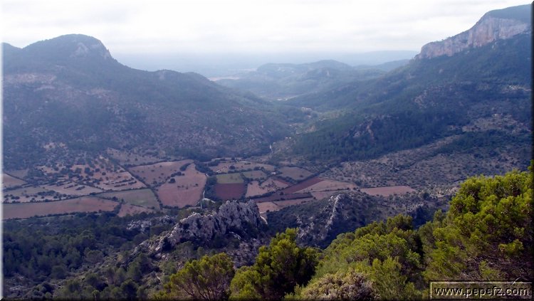 PA035553.JPG