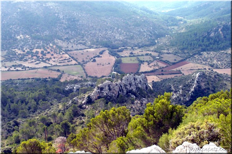 PA035554.JPG