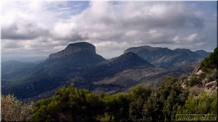 PA035555.JPG