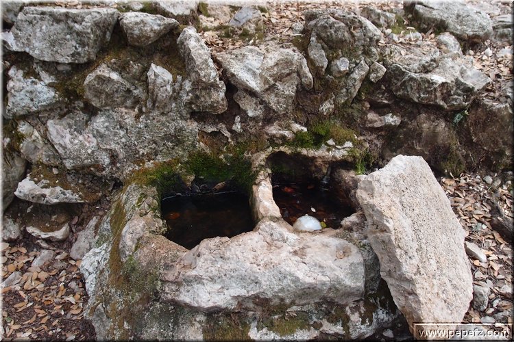 PA035558.JPG